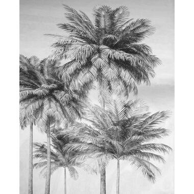 Komar fotobehang - palmbomen - zwart wit - 200 x 250 cm - 611621 product