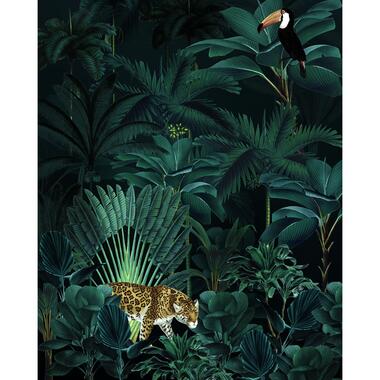 Komar fotobehang - jungle-motief - groen - 200 x 250 cm - 611626 product