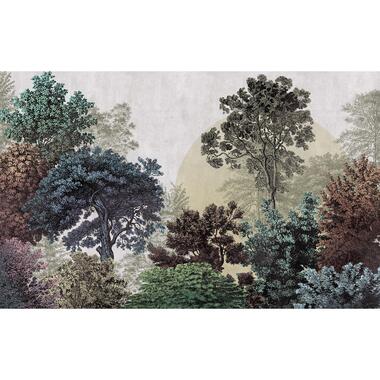 Komar fotobehangpapier - Bois Brumeux - multicolor - 400 x 250 cm product