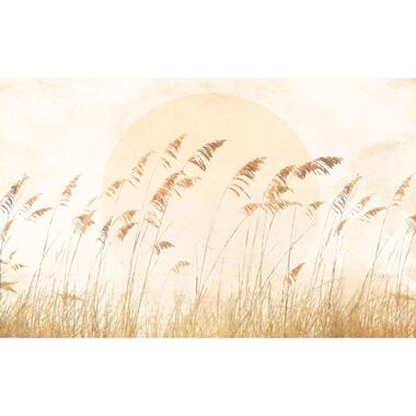 Komar papier peint panoramique - Dune Grass - sable beige - 400 x 250 cm product