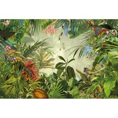 Komar fotobehangpapier - Into the Wild - jungle groen - 368 x 248 cm product