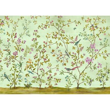 Komar papier peint panoramique - oiseaux de paradis - vert - 350 x 250 cm product