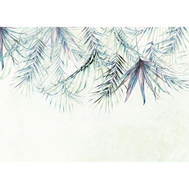 Komar fotobehangpapier - Palm Spring - blauw en groen - 350 x 250 cm product