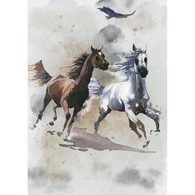 Komar fotobehang - Wild Ride - grijs en bruin - 200 x 280 cm - 610839 product