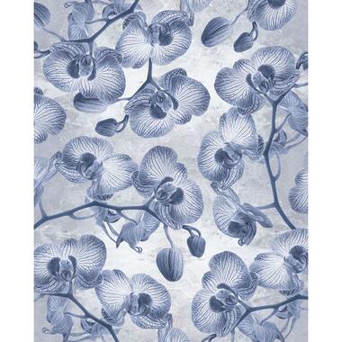 Komar fotobehangpapier - Orchidée - blauw - 200 x 250 cm - 611185 product