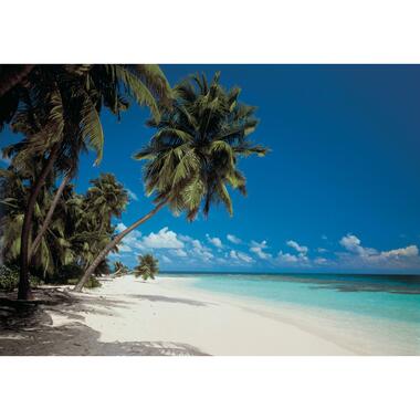 Komar fotobehangpapier - Maldives - blauw en groen - 368 x 270 cm product