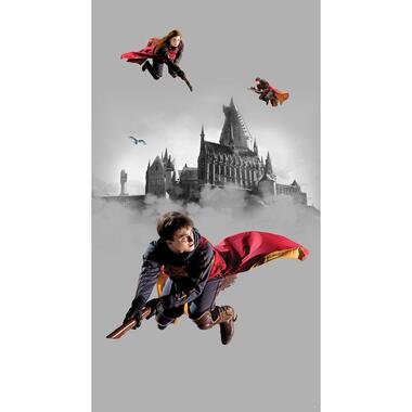 Sanders & Sanders fotobehang - Harry Potter Zweinstein - grijs en rood product