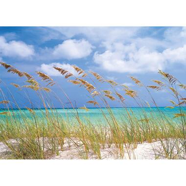 Komar fotobehang - Ocean Breeze - blauw en groen - 368 x 254 cm product