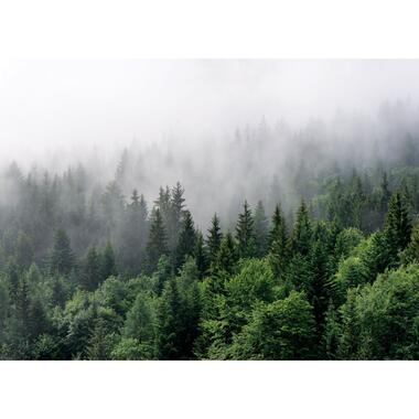 Sanders & Sanders papier peint panoramique - montagnes avec des arbres - vert product