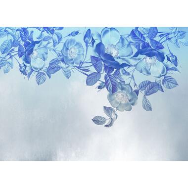 Komar fotobehang - Blue Aura - blauw - 350 x 250 cm - 610024 product