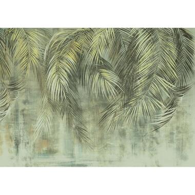 Komar fotobehang - Palm Fronds - groen - 350 x 250 cm - 611220 product