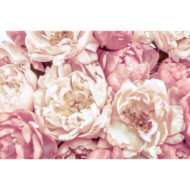 Komar fotobehangpapier - Peonies - roze - 368 x 248 cm - 611145 product