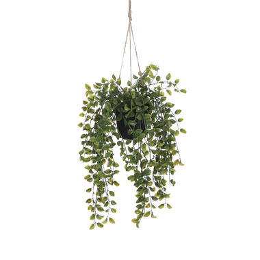 Mica Decorations Ficus Kunst Hangplant in Pot - H46 x Ø20 cm - Groen product