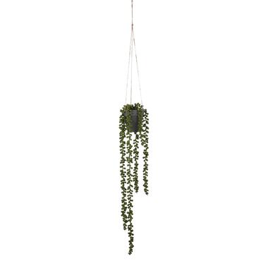 Mica Decorations Plante artificielle senecio - H56 cm - Vert product
