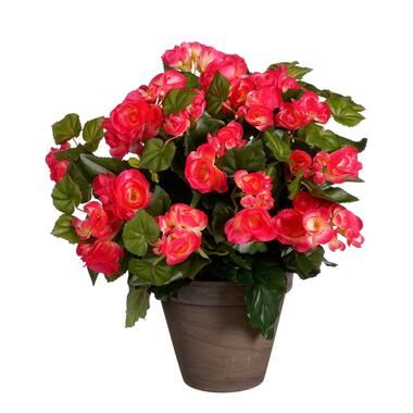 Mica Decorations Plante artificielle bégonia - H37 cm - Rose foncé product
