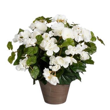 Mica Decorations Begonia Kunstplant in Bloempot Stan - H37 x Ø36 cm - Wit product