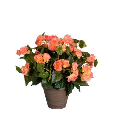 Mica Decorations Plante artificielle bégonia - H37 cm - Rose saumon product