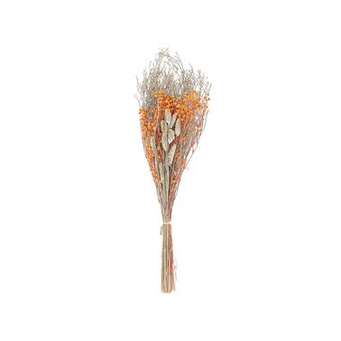 Bouquet de fleurs séchées 65 cm orange CERCEDILLA product