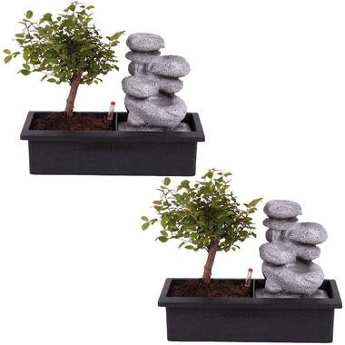 Bonsaiboom met Easy-care watersysteem - Set van 2 - Zen stenen - Hoogte 25-35cm product