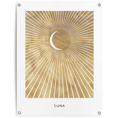 Poster de jardin Lune 80x60 cm Jaune product