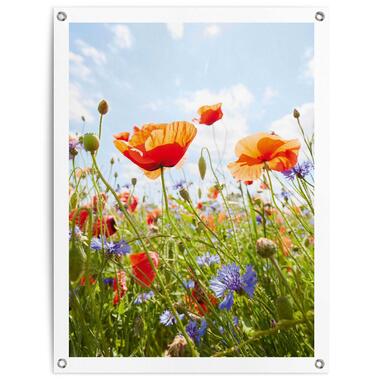 Tuinposter - Bloemenveld - 80x60 cm Canvas product