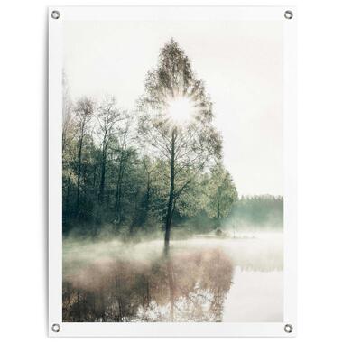 Tuinposter Zon door de bomen - 80x60cm - Groen product