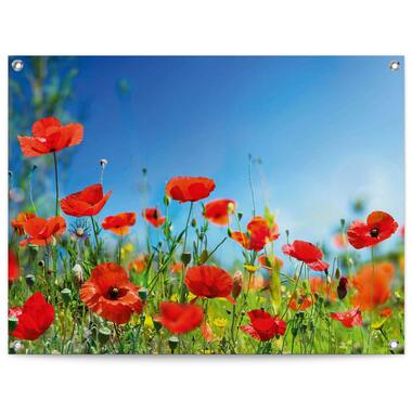 Poster de jardin Fleurs d'été 60x80 cm Rouge product