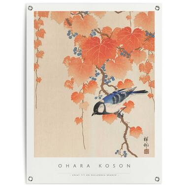 Poster de jardin - Ohara Koson Great tit - 80x60cm product