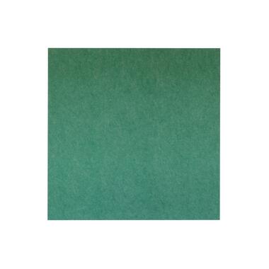 Akoestisch wandpaneel PET-vilt - 100x100 cm - Groen product