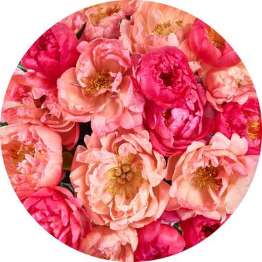Sanders & Sanders zelfklevende behangcirkel - bloemen - roze - Ø 125 cm product