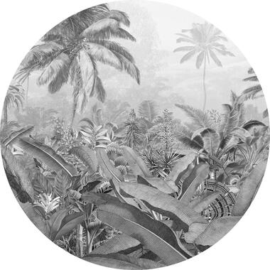 Sanders & Sanders zelfklevende behangcirkel - jungle - grijs - Ø 125 cm product