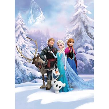 Disney fotobehang - Frozen winter wonderland - blauw - 184 x 254 cm product