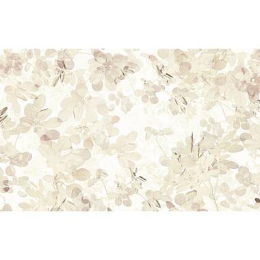 Sanders & Sanders fotobehang - bladeren - beige en wit - 400 x 250 cm product