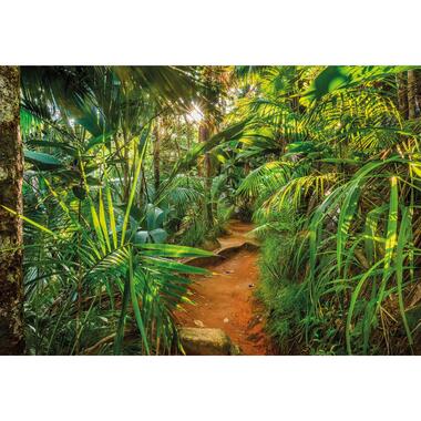 Sanders & Sanders fotobehangpapier - jungle - groen - 368 x 254 cm product