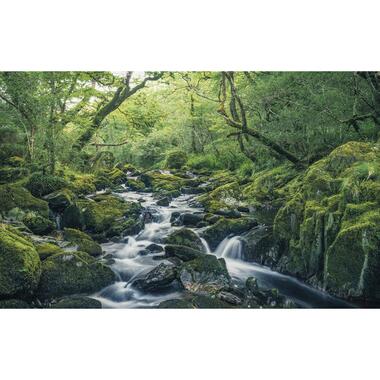 Sanders & Sanders fotobehangpapier - landschap - groen - 400 x 250 cm product