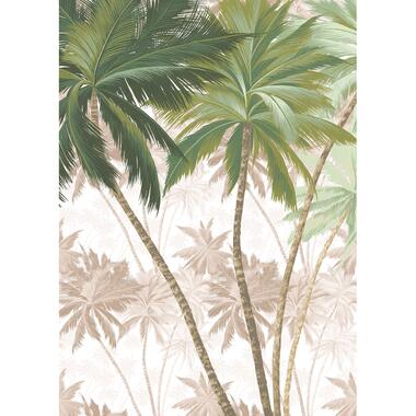 Sanders & Sanders fotobehang - jungle - groen en beige - 200 x 280 cm product