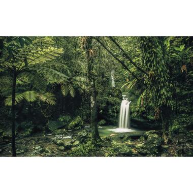 Sanders & Sanders fotobehangpapier - jungle - groen - 400 x 250 cm product