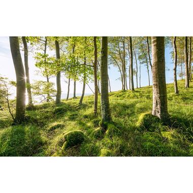 Sanders & Sanders fotobehangpapier - landschap - groen en blauw - 450 x 280 cm product