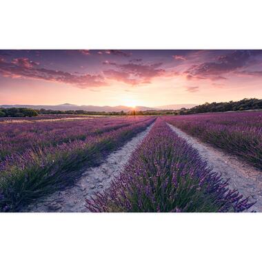 Sanders & Sanders fotobehangpapier - lavendel landschap - pastel paars product