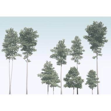 Sanders & Sanders fotobehangpapier - bomen - groen en blauw - 400 x 280 cm product