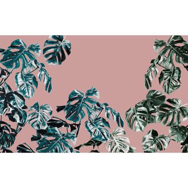 Sanders & Sanders papier peint panoramique - jungle - rose, vert et bleu product