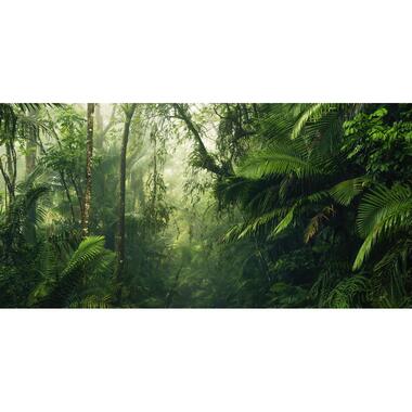 Sanders & Sanders fotobehangpapier - jungle - groen - 500 x 250 cm product