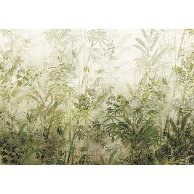 Sanders & Sanders fotobehang - jungle - olijfgroen - 400 x 280 cm product