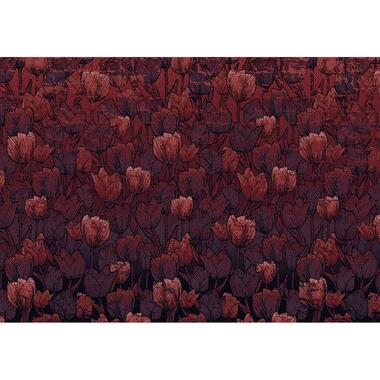 Sanders & Sanders fotobehang - tulpen - rood - 400 x 280 cm - 611861 product