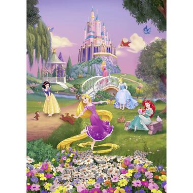 Disney fotobehang - Disney prinsessen - multicolor - 184 x 254 cm product