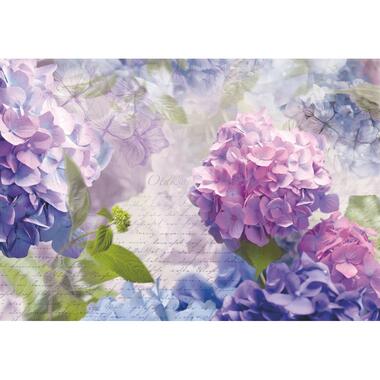 Sanders & Sanders fotobehang - bloemen - paars en blauw - 368 x 254 cm product