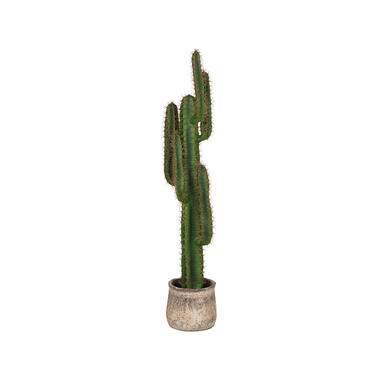 LABEL51 Cactus - Groen - Kunststof - 130 product