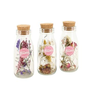 Set van 3 droogbloemen in glazen flesjes - droogboeket product