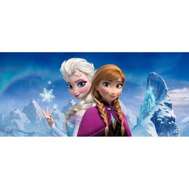 Disney poster - Frozen Anna & Elsa - blauw en paars - 202 x 90 cm product