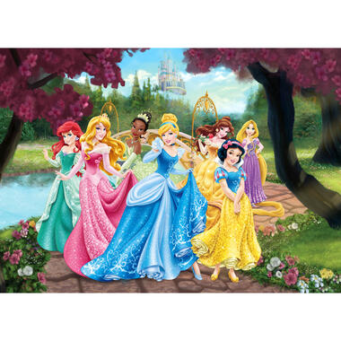 Disney poster - prinsessen - roze, geel en blauw - 160 x 110 cm product